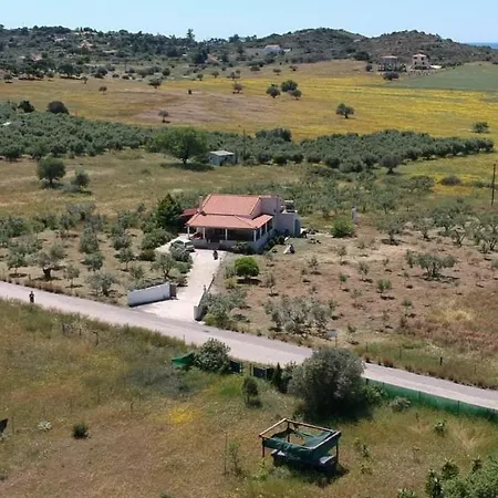 Olive Tree House *