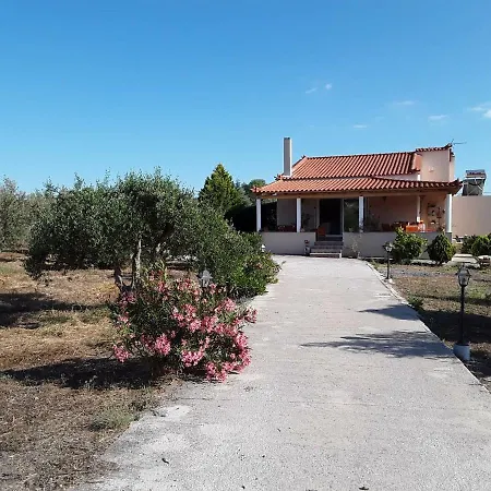 Olive Tree House